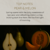 Top Notes_ Pear & Melon_20250827_221257_0000-min Spring Haze – Mini Perfume 10ml EDP by Efe Perfumes