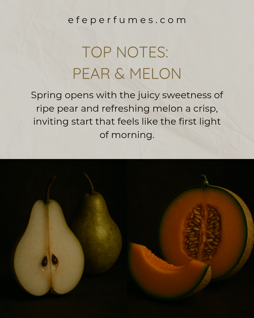 Top Notes_ Pear & Melon_20250827_221257_0000-min Spring Haze – Mini Perfume 10ml EDP by Efe Perfumes